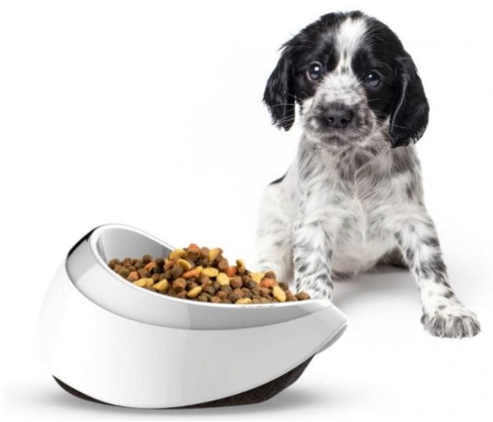 pet tech bowls