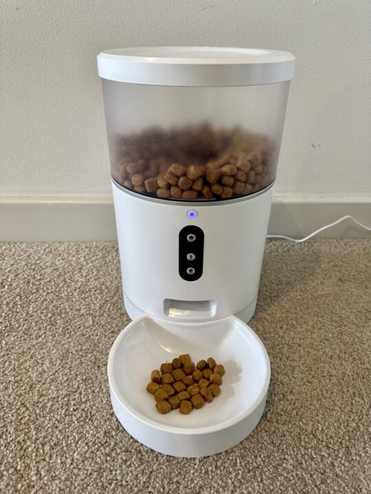 pet feeder on carpet