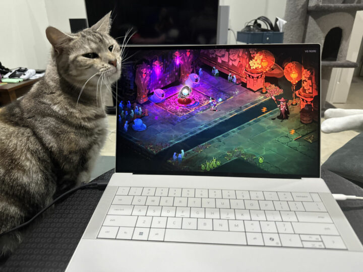 Dell XPS 14 Hades 2 gaming with cat